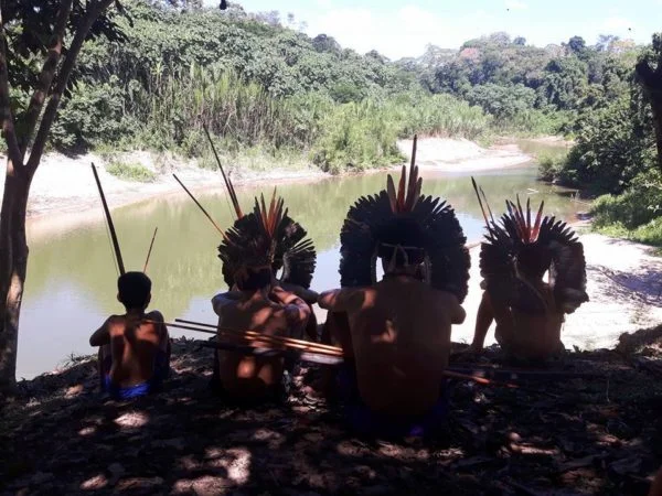 QUANDO O RATO VIRA MORCEGO... 4 jairo indios morcego