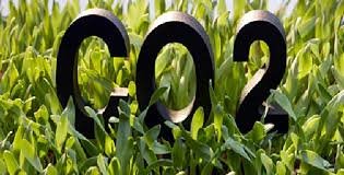 Empresas de energia correm o risco de perder US$ 1,6 trilhão... 1 Baixo Carbono Organics News Brasil