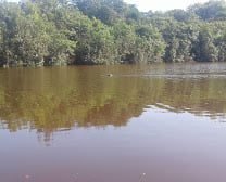 Resex Cuniã Leandro Benarrosh Macedo