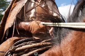 O CAUSO DO VAQUEIRO JOSÉ FRANCISCO DE PAULA 1 VAQUEIRO Argosfoto