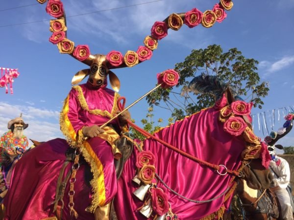 cavalhdas curta mais