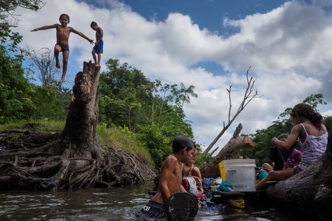 dia da Amazônia