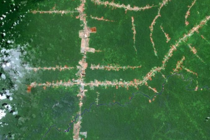 Tempestade Política Potencializa o Desmatamento da Amazônia Brasileira