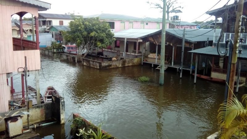 Anamã Consolide Sua Marca