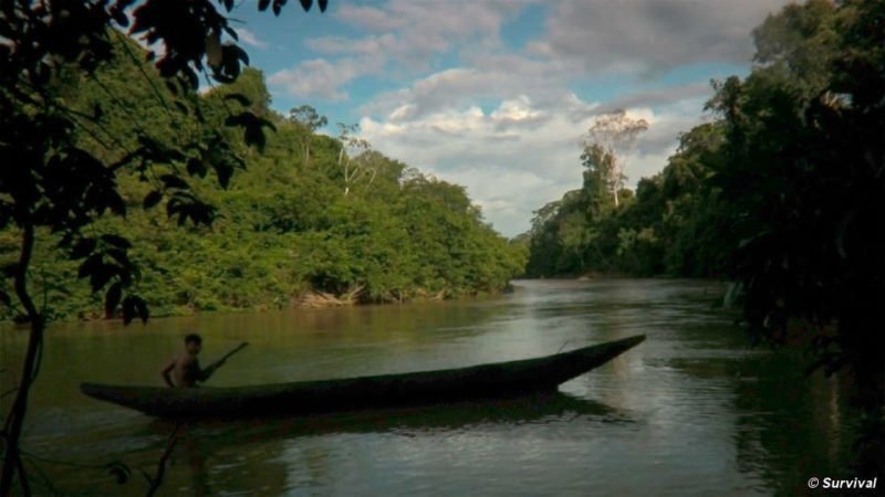 DAVI KOPENAWA: UM LÍDER, UM PAJÉ, UM GRANDE SÁBIO 2 Terra Yanomami menino Survival