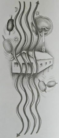 BARRACÃO 1 Ilustração Danilo