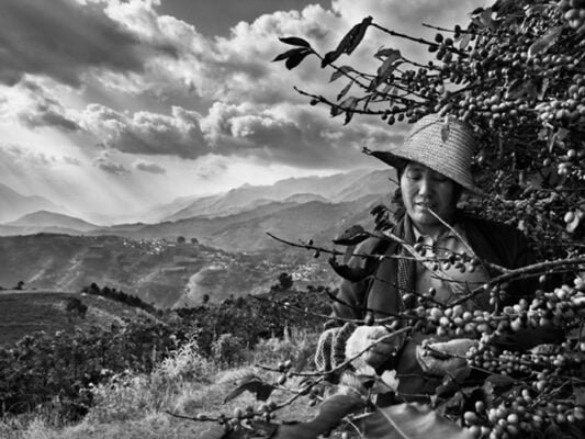 SEBASTIÃO SALGADO: PERFUME DE SONHO 1 sebastiao salgado 1