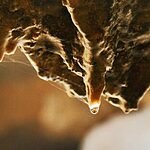 Photo Eduardo Andreassi 02DD40 Small