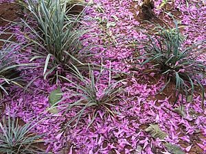 Um Chamado à Cooperação e à Esperança
