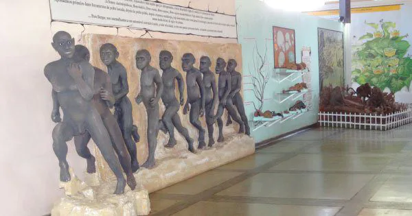 VIAJANTES APRESSADOS NUM PLANETA ERRANTE