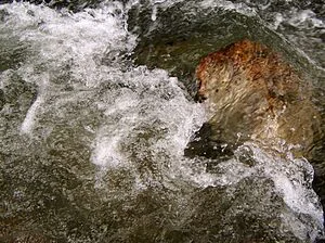 A água e o ser humano: Do pecado original ao pecado mortal