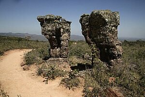 shutterstock 159027329