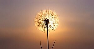 ALTAIR SALES BARBOSA: UMA REFLEXÃO CONTRA A SOBERBA