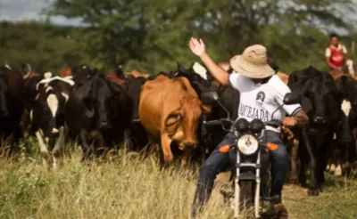 MOTOCICLETA RURAL 1 citacao low quality