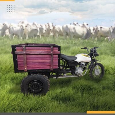 MOTOCICLETA RURAL 2 moto carreta brutal carretinha triciclo agricola carga fazenda jc triciclos agricolas linha brutal campo online pecuaria de sucesso joel pinheiro