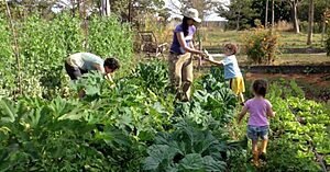 CSAS: COMUNIDADES QUE SUSTENTAM A AGRICULTURA