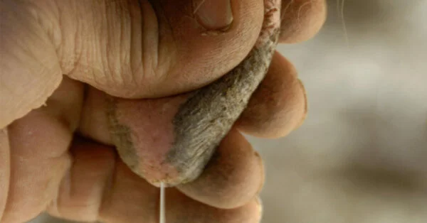 Mãos Contrárias: Mãos ásperas, mãos agrestes