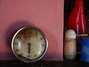 Clarice Lispector: Tempo para gastar (1.930 horas por ano)