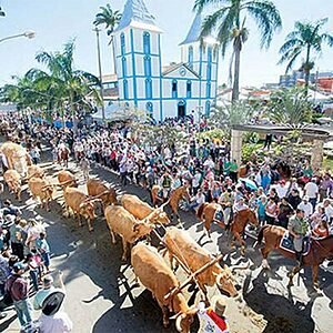Festa de Trindade: Fé e Tradição