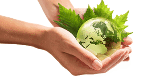 DESENVOLVIMENTO: PRESSUPOSTOS PARA A SUSTENTABILIDADE