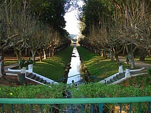 Minas Gerais: Saúde e Natureza no Circuito das Águas