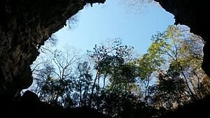 GRUTAS DA TERRA RONCA: TESOURO ARQUEOLÓGICO DO BRASIL