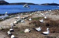 Parque Nacional Marinho de Abrolhos o Paraíso Subaquático