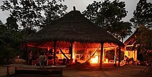 REFLEXÕES INSPIRADAS NA "SERPENTE DO CAPITAL"