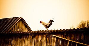 ZEQUINHA DO PINDUCA, O EMBOSCADOR DE TROPEIROS