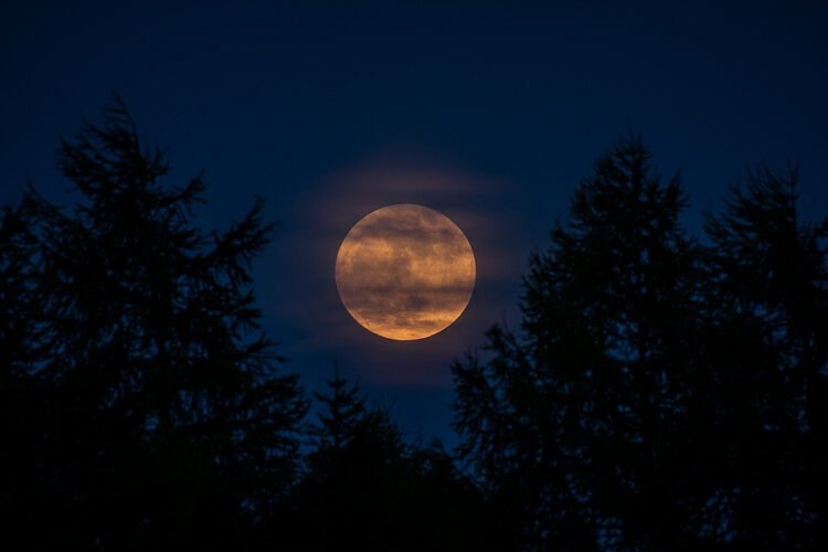 Sob o brilho e a sedução da Lua