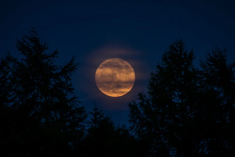 Sob o brilho e a sedução da Lua