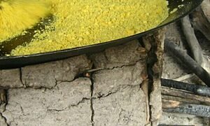 Oriximiná: Publicados os Relatórios de Identificação das Terras Quilombolas