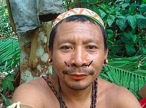 Morre o pajé Tëpi Matis, um forte xamã da floresta