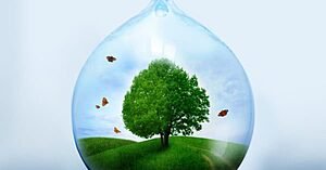 Água: Um bem comum ameaçado