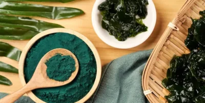 algas chlorella in natura e po verde de suplemento de chlorella 1000x505 1