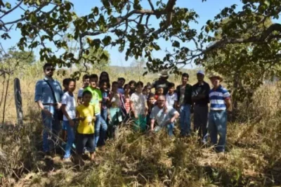 Pau Pereira Paisagem