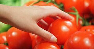 Alimentos: Da lavoura à mesa, é grande o desperdício