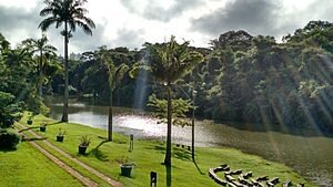Goiânia: O Jardim Botânico e o renascimento de uma reserva ambiental