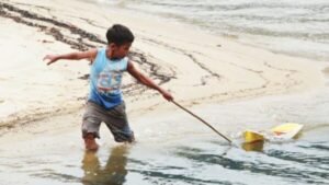 COBRAS E LAGARTOS: MANUAL DA CRIANÇA CAIÇARA