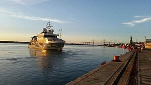 Expedição Alucia documenta maior colônia de golfinhos-rotadores do mundo