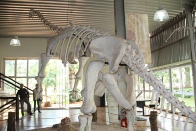 museu dinossaruros peiropolis