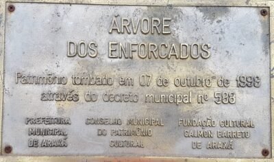 arvore enforcados patrimonio tombado 1