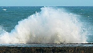 Política Nacional de Mudanças Climáticas: Metas Comprometidas?