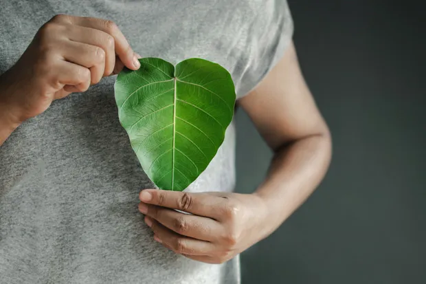 TERRA: A DIMENSÃO MATERIAL E TERRENAL DA EXISTÊNCIA 1 atitudes simples que podem salvar o planeta