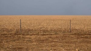 A DESTRUIÇÃO DA GRANDE SAVANA DO BRASIL