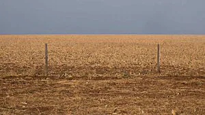 A DESTRUIÇÃO DA GRANDE SAVANA DO BRASIL