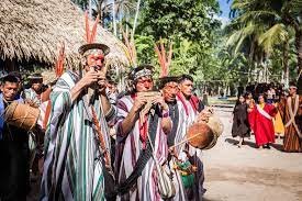 Ashainka Midia Ninja