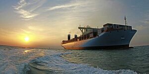 CAMINHOS PARA DESCARBONIZAR O TRANSPORTE MARÍTIMO ATÉ 2035