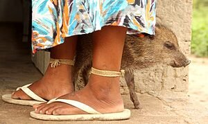 O Silêncio, segundo o Sagrado Indígena