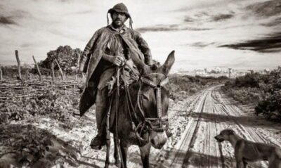 O causo do vaqueiro José Francisco de Paula